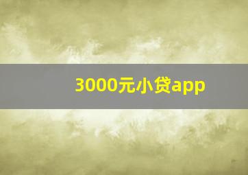 3000元小贷app