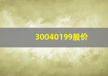 30040199股价