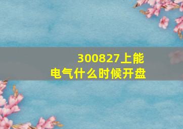 300827上能电气什么时候开盘