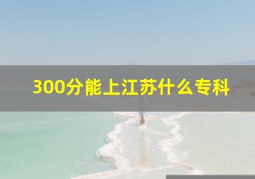 300分能上江苏什么专科