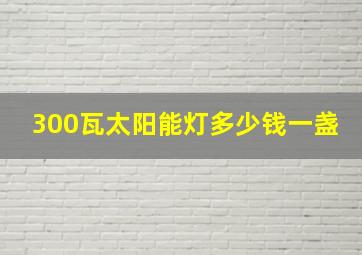 300瓦太阳能灯多少钱一盏