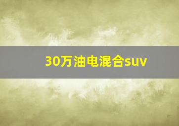 30万油电混合suv