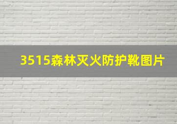 3515森林灭火防护靴图片