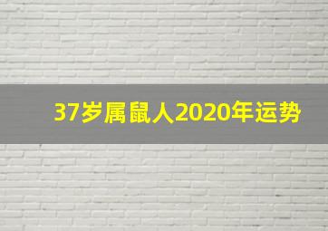 37岁属鼠人2020年运势