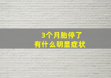 3个月胎停了有什么明显症状