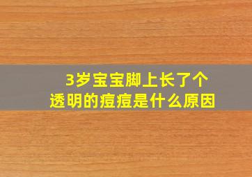 3岁宝宝脚上长了个透明的痘痘是什么原因