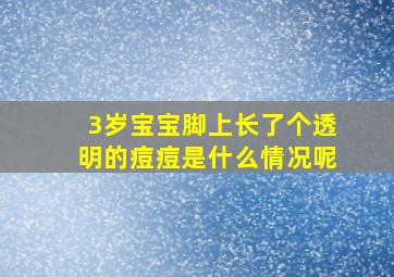 3岁宝宝脚上长了个透明的痘痘是什么情况呢