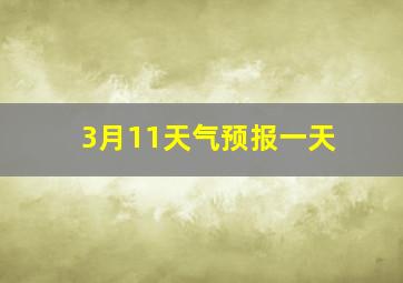 3月11天气预报一天