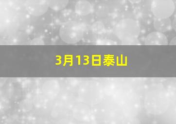 3月13日泰山