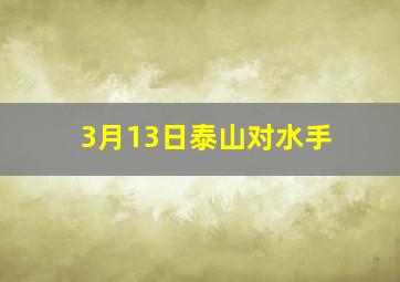 3月13日泰山对水手