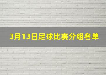 3月13日足球比赛分组名单