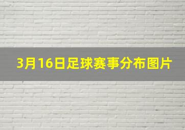 3月16日足球赛事分布图片