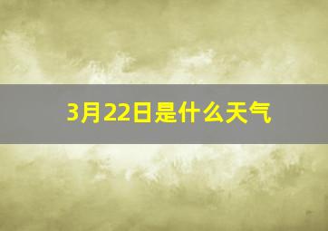 3月22日是什么天气