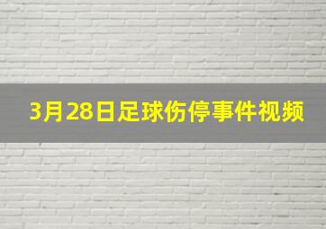 3月28日足球伤停事件视频