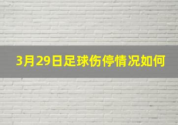 3月29日足球伤停情况如何