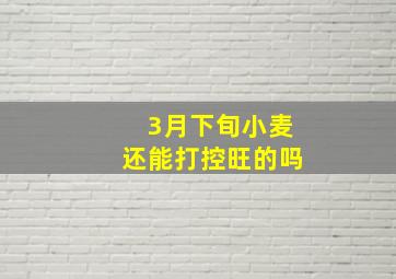 3月下旬小麦还能打控旺的吗