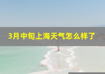 3月中旬上海天气怎么样了