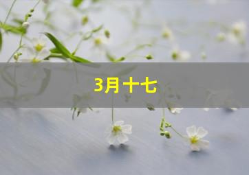 3月十七