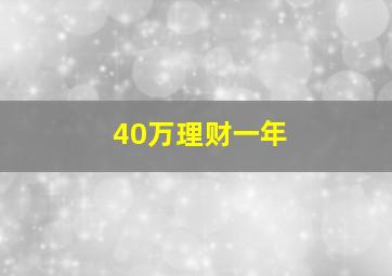 40万理财一年