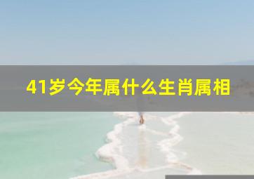 41岁今年属什么生肖属相