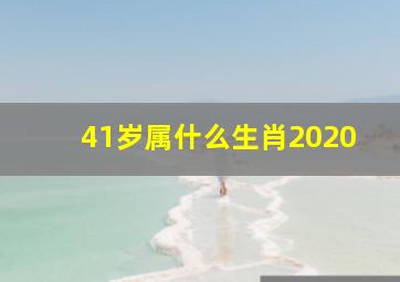 41岁属什么生肖2020