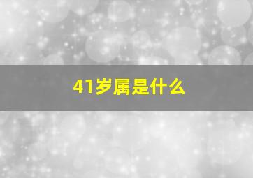 41岁属是什么