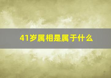 41岁属相是属于什么