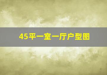 45平一室一厅户型图