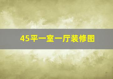 45平一室一厅装修图