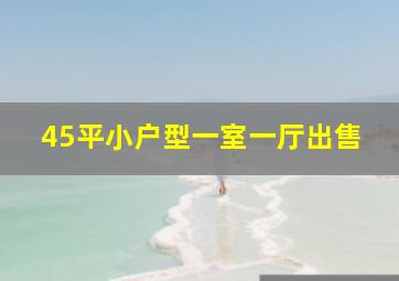 45平小户型一室一厅出售