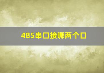 485串口接哪两个口