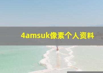 4amsuk像素个人资料