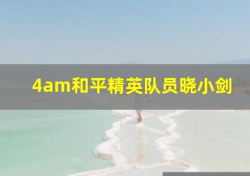 4am和平精英队员晓小剑