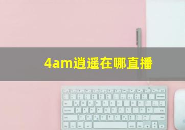 4am逍遥在哪直播