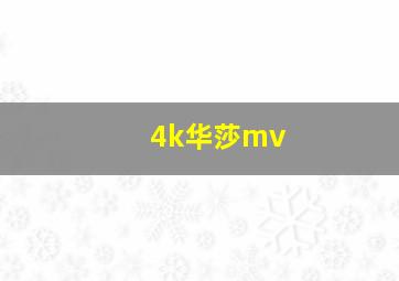 4k华莎mv