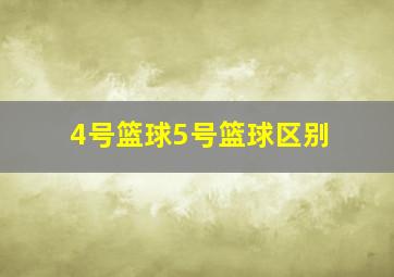 4号篮球5号篮球区别