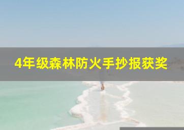 4年级森林防火手抄报获奖