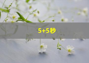 5+5秒