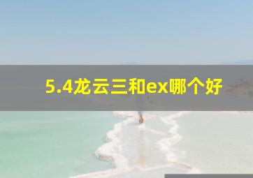 5.4龙云三和ex哪个好