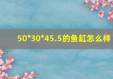 50*30*45.5的鱼缸怎么样