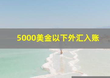 5000美金以下外汇入账