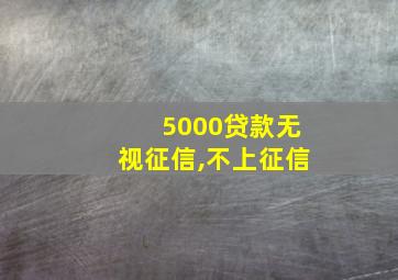 5000贷款无视征信,不上征信