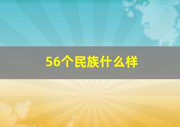 56个民族什么样