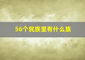 56个民族里有什么族