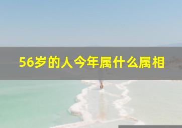 56岁的人今年属什么属相