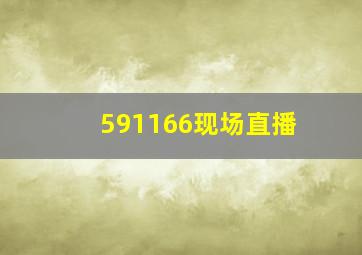 591166现场直播