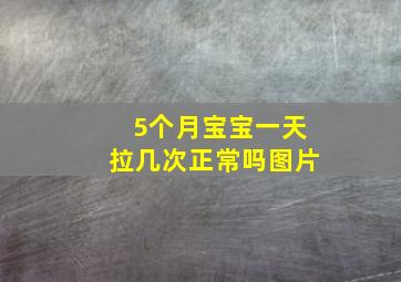 5个月宝宝一天拉几次正常吗图片