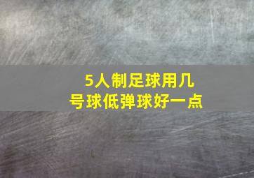 5人制足球用几号球低弹球好一点