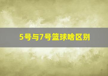 5号与7号篮球啥区别