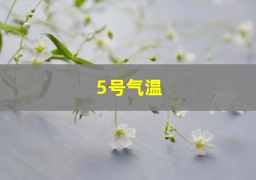 5号气温